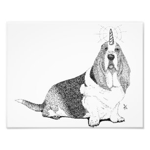 Impression Photo Fred the Bassetcorn