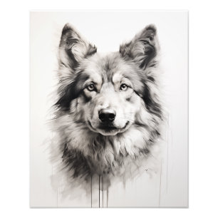 Impression Photo Free Spirit Chien noir et blanc