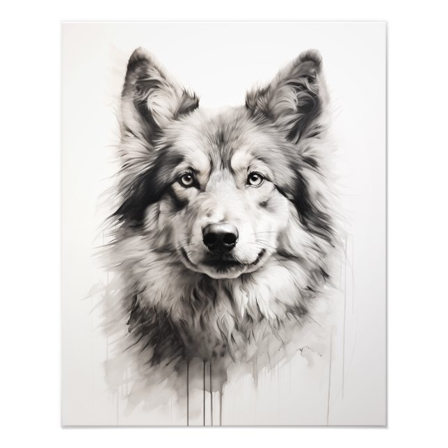 Impression Photo Free Spirit Chien noir et blanc (Devant)