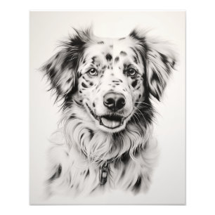 Impression Photo Free Spirit Chien noir et blanc