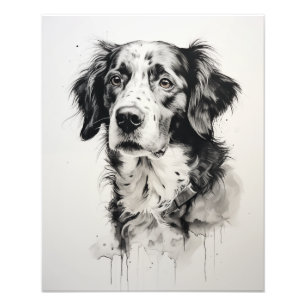 Impression Photo Free Spirit Chien noir et blanc