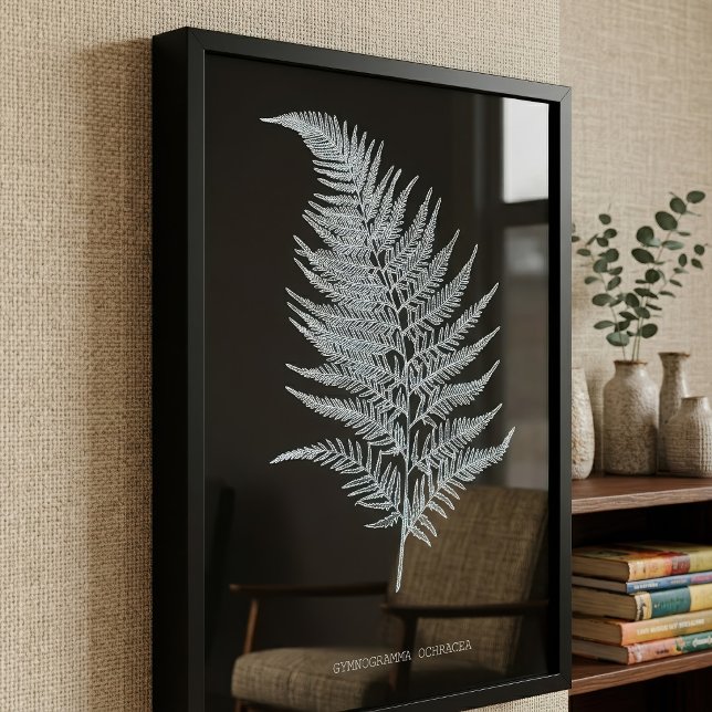 Impression Photo Frondes de fougère ocre, Gymnogramma Ochracea (Ochre Fern Frond, Gymnogramma Ochracea. Photo Print)
