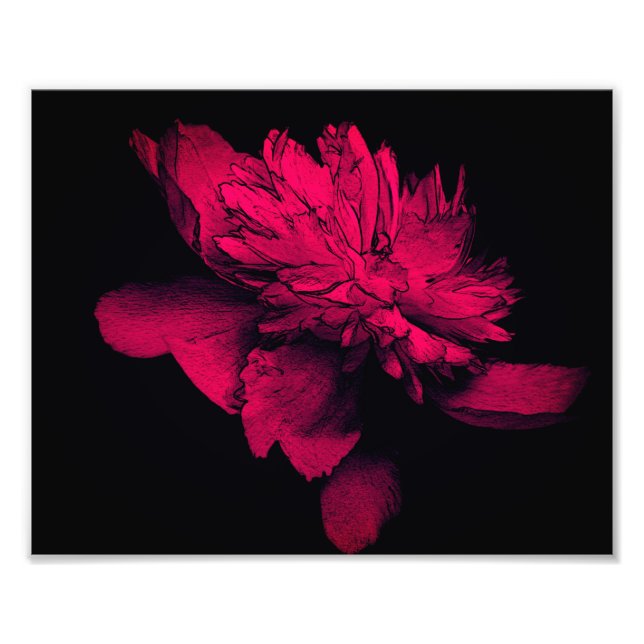 Impression Photo Fuchsia Peony Flower Abstrait Floral Art 8x10 (Devant)