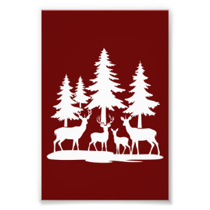 Impression Photo Funny Skinny Pine Tree Randonnée d'été Camping