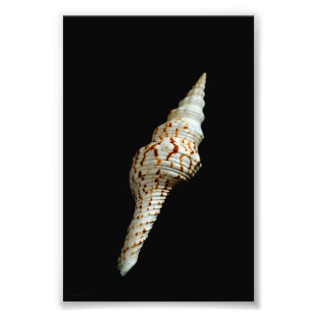 Impression Photo Fuseau de mer (Devant)
