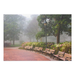 Impression Photo GA Savannah, Azaleas, le long du trottoir en briqu