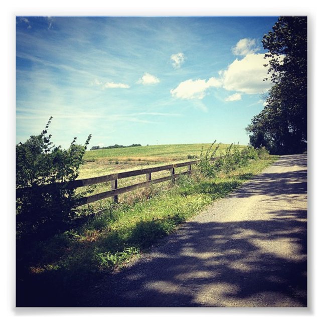 Impression Photo Gameland Fence (Devant)