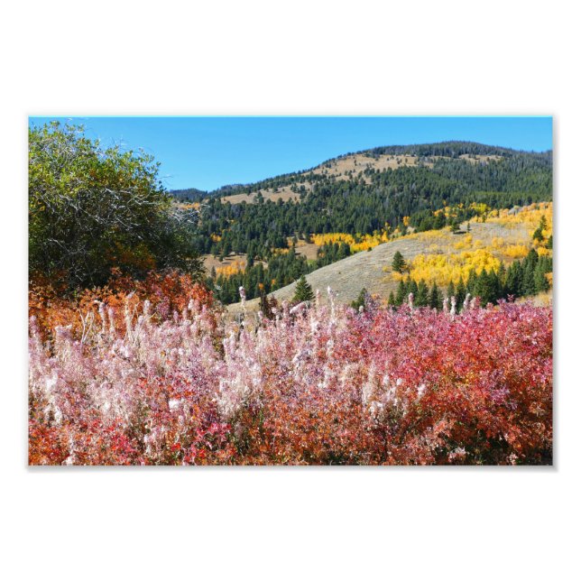 Impression Photo Gardiner Mountain Paint  (Devant)