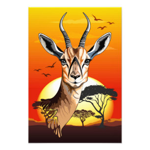 Impression Photo Gazelle Antelope africaine animal sauvage