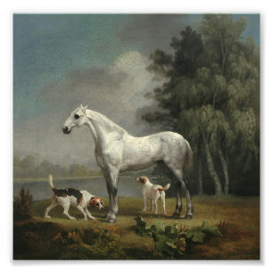 Impression Photo George Stubbs - Un chasseur gris pomme