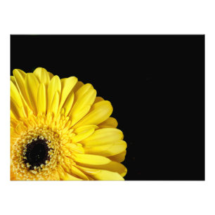Impression Photo Gerbera Flower