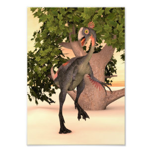 Impression Photo Gigantoraptor Dinosaur Adventure Art pour Enfants