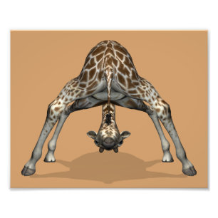 Impression Photo Girafe flexible