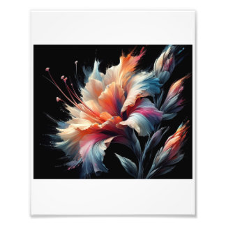 Impression Photo Gladius Flower Blossoms Against Black,