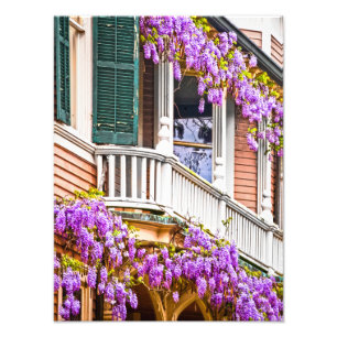 Impression Photo Glycines sur une maison du sud vintage dans la