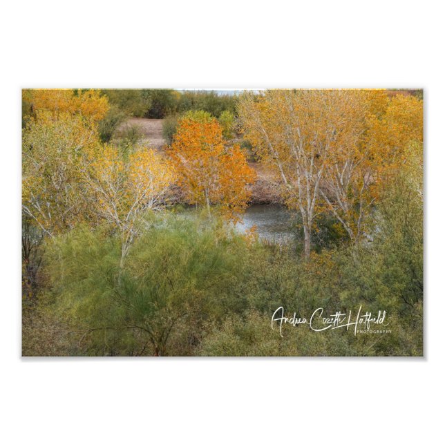 Impression Photo Golden Colorado (Devant)