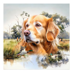 Impression Photo Golden Retriever