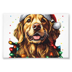 Impression Photo Golden Retriever Chien drôle de Noël Chapeau de Pè