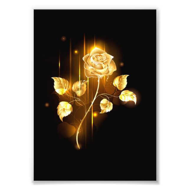 Impression Photo Golden rose ( gold rose ) (Devant)