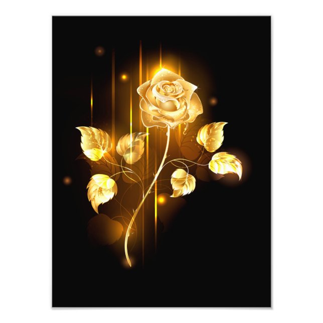 Impression Photo Golden rose ( gold rose ) (Devant)