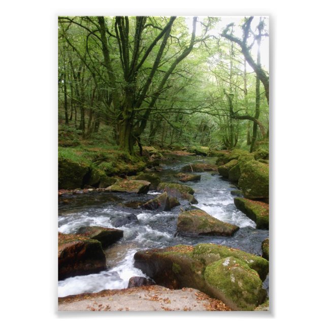 Impression Photo Golitha Falls River Fowey Cornwall Angleterre (Devant)