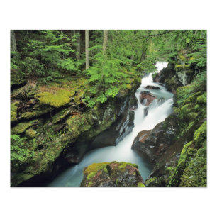 Impression Photo Gorge de l'Avalanche dans le parc national de Glac