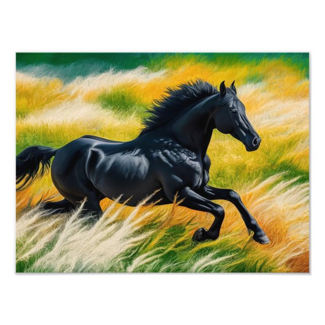 Impression Photo Graceful Black Horse Galloping dans le champ animé (Devant)