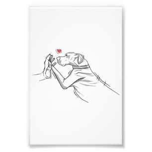 Impression Photo Grand Chien Danois