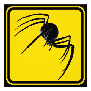 Impression Photo Grand croisement d'araignées !