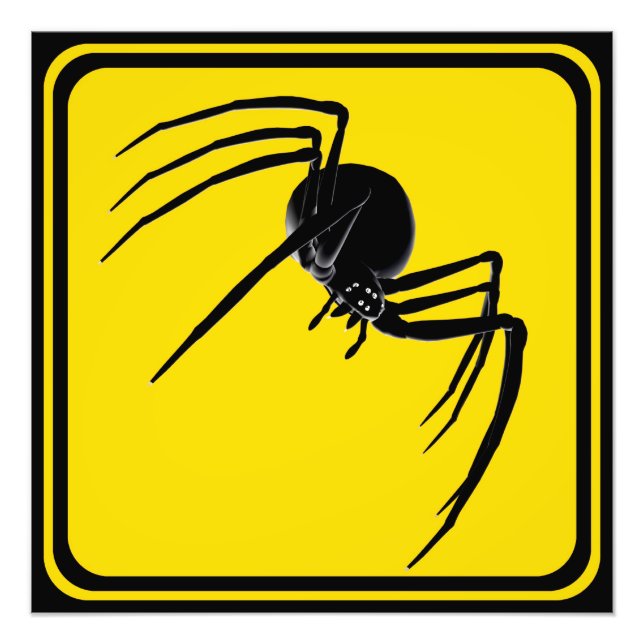 Impression Photo Grand croisement d'araignées ! (Devant)