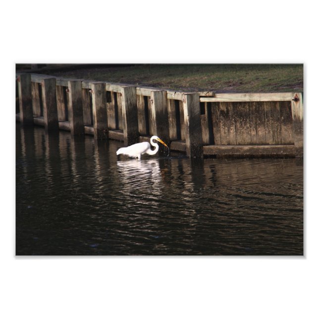 Impression Photo Grande Aiguille Grande Attraction (Devant)