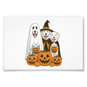 Impression Photo Grands Pyrénées Chien Fantôme Sorcière Halloween C