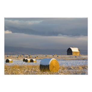 Impression Photo Grange rustique et balles de foin après une neige 