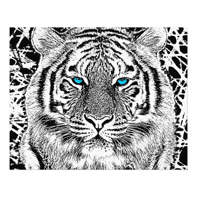 Impression Photo Graphique de tigre noir et blanc aux yeux bleus (Devant)