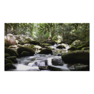 Impression Photo Great Smoky Mountains Flow Mountain Stream