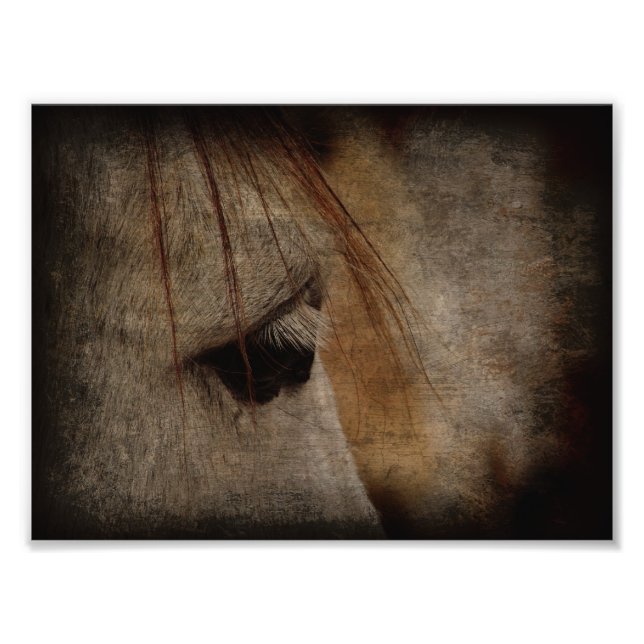 Impression Photo Gris Cheval Face Grunge (Devant)