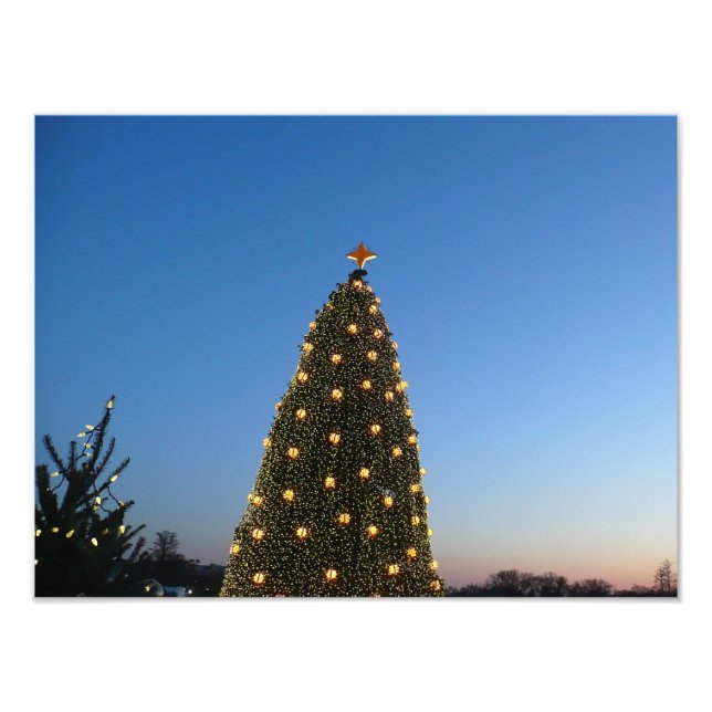 Impression Photo Gros et petits arbres de Noël I Coucher de soleil  (Devant)