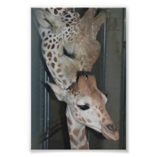 Impression Photo Groupe 4X6 Imprimer #4