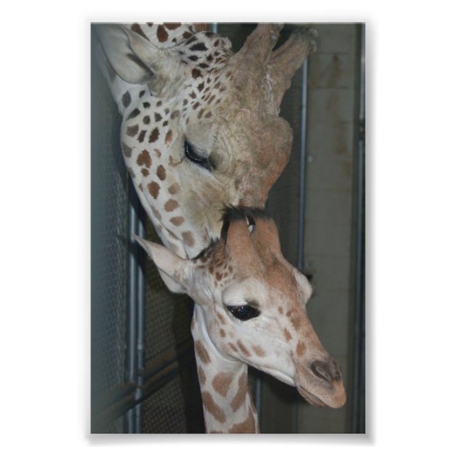 Impression Photo Groupe 4X6 Imprimer #4 (Devant)