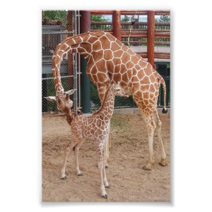 Impression Photo Groupe 4X6 Imprimer #8