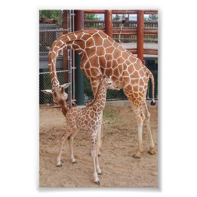 Impression Photo Groupe 4X6 Imprimer #8 (Devant)