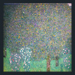 Impression Photo Gustav Klimt - Rosiers sous les arbres<br><div class="desc">Rosiers sous les arbres / Roses sous les arbres par Gustav Klimt en 1905</div>