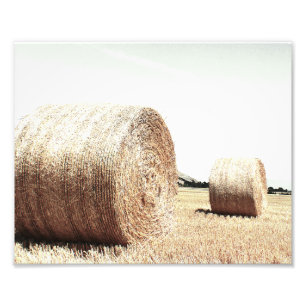 Impression Photo Hale Bales Country Style Ferme