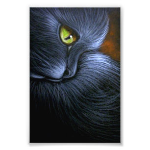 IMPRESSION PHOTO HALLOWEEN IMAGINAIRE NOIR CAT 4" X 6" IMPRIMER