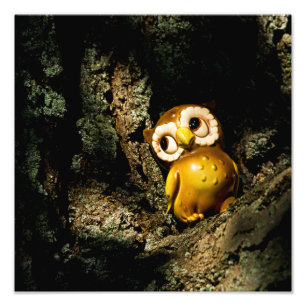 Impression Photo Harvey le hibou I