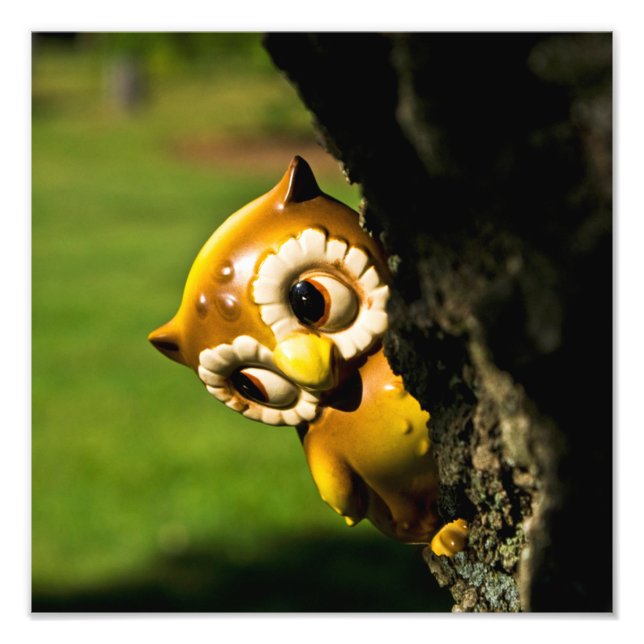 Impression Photo Harvey le hibou II (Devant)