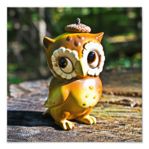 Impression Photo Harvey the Owl III