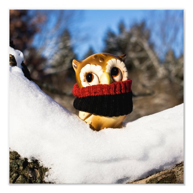 Impression Photo Harvey the Owl IV (Devant)