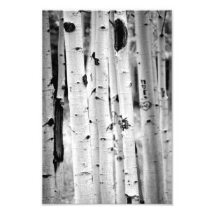 Impression Photo Haut Aspen