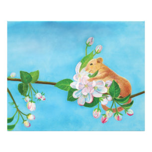 Impression Photo Hazel Dormouse sur une branche fleurie